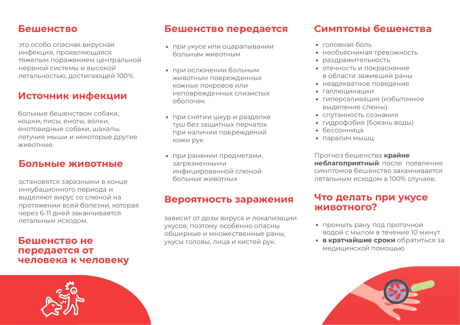 Профилактика бешенства page 0002