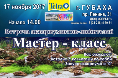 Mастер-класс по аквариумистике.